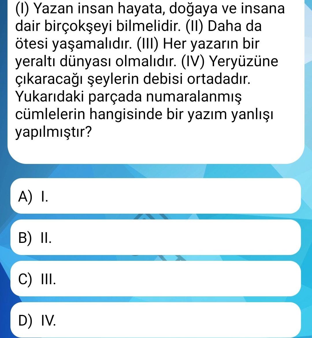 Soru Görseli
